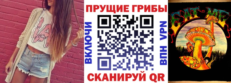 Псилоцибиновые грибы MAGIC MUSHROOMS купить закладку Северобайкальск