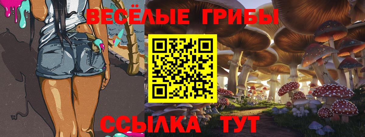 Псилоцибиновые грибы мицелий  Северобайкальск  продажа наркотиков  Галлюциногенные грибы мухоморы 