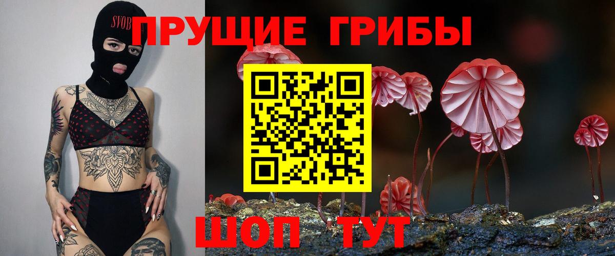 Галлюциногенные грибы ЛСД Северобайкальск