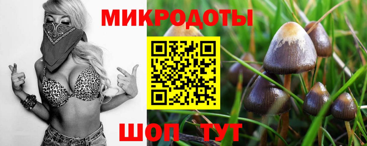 Псилоцибиновые грибы мицелий  Вход с VPN  Северобайкальск 